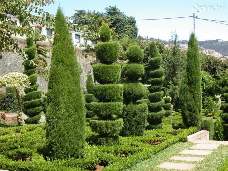 Jardim Botânico da Ajuda